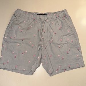 Hollister jogger shorts